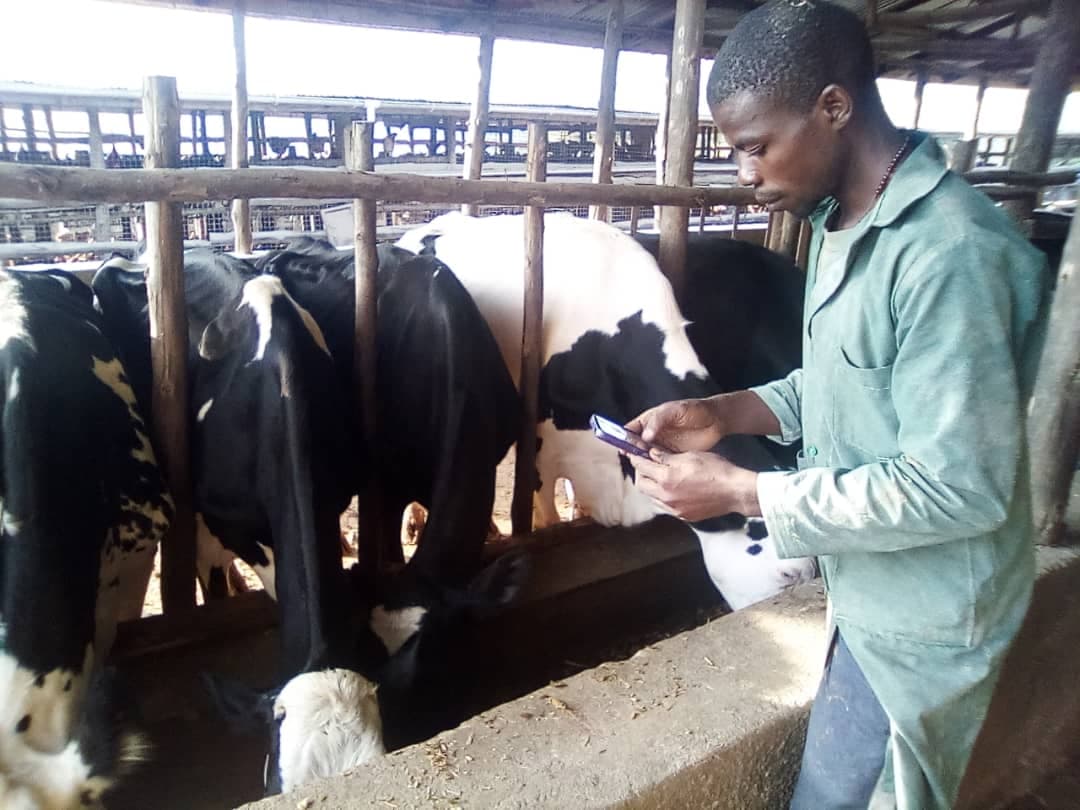 Farmers using digital tools